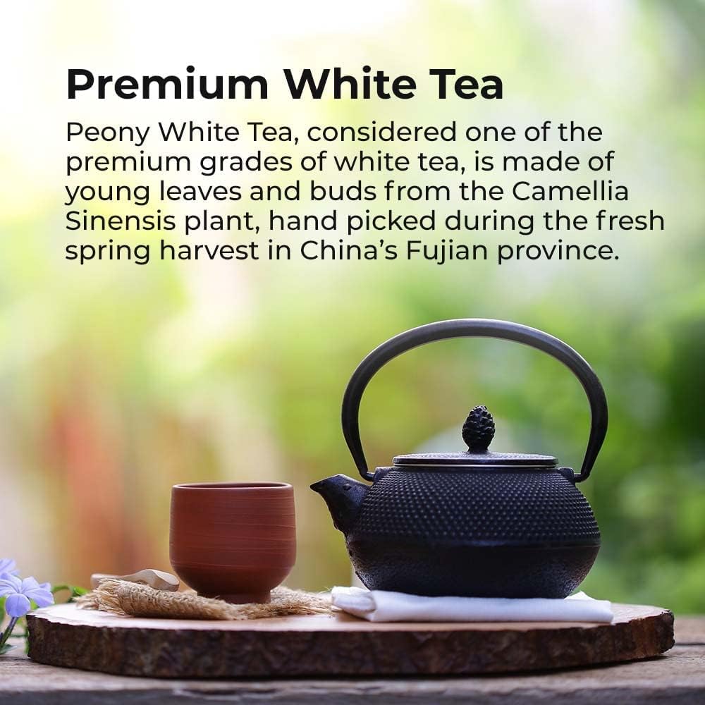 Prince of Peace Premium White Tea, 100 Tea Bags – White Tea Bags – Prince of Peace – White Peony Tea – Camellia Sinensis Tea Bags – Prince of Peace Tea – Premium Grade Tea - Image 2
